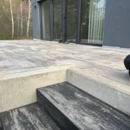 Nowoczesny taras z szarej kostki brukowej z betonowymi schodami, widoczne buty i torba przy przeszklonych drzwiach domu, tło stanowią brzozy.