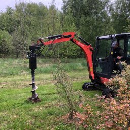 D.W prace ziemne i ogrodowe - Czerwona minikoparka Kubota z wiertłem w trawiastym terenie, operator w kabinie. W tle drzewa, z przodu krzew z różowymi liśćmi. Wykonanie wykopu pod nasadzenia.