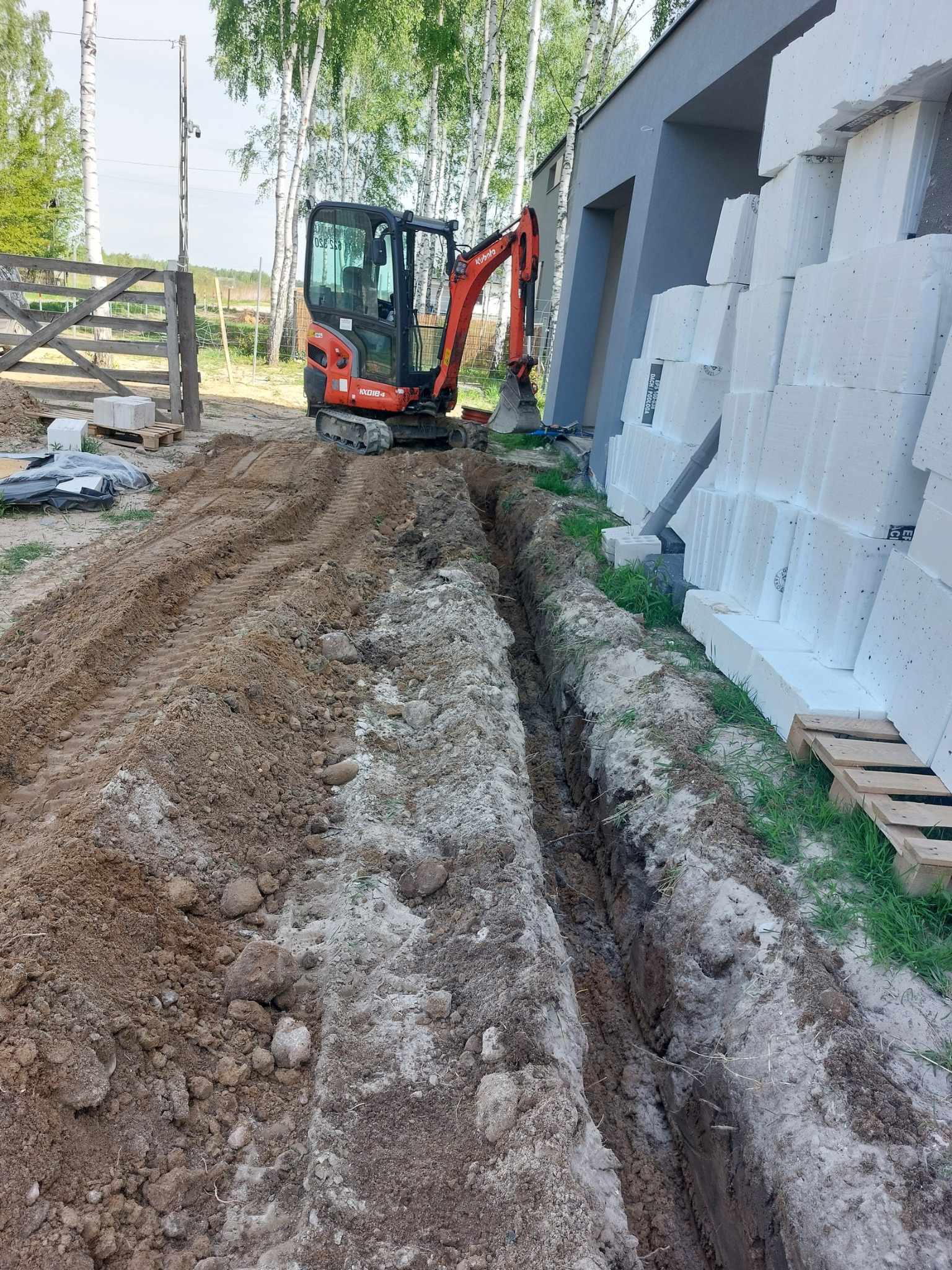Wąski wykop pod fundament domu z bloczków, wykonany pomarańczową minikoparką Kubota. Widoczne świeże ślady opon i ułożone bloczki na paletach. Tło: brzozy i drewniane ogrodzenie.
