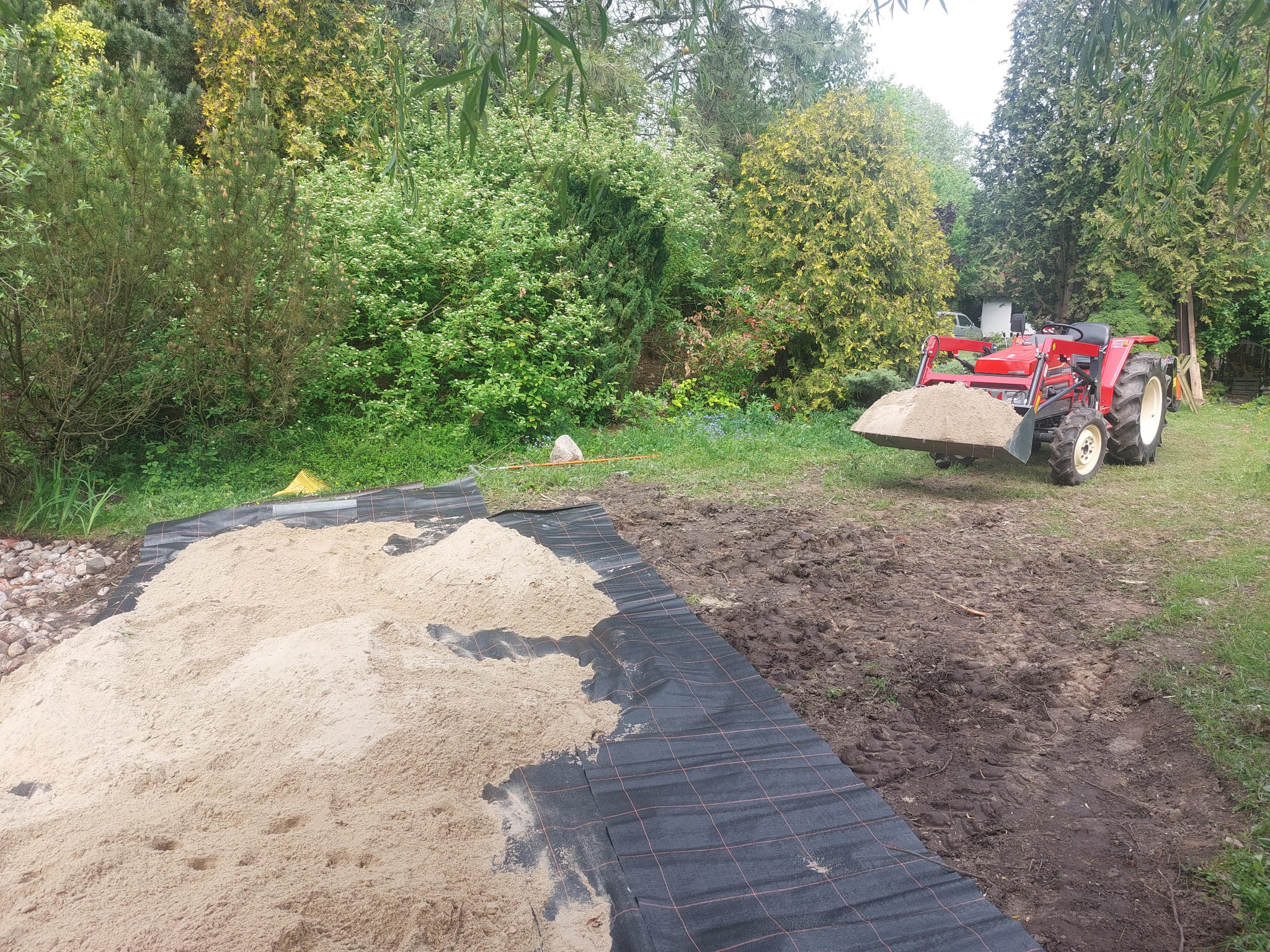 Czerwony traktor z łyżką pełną piasku na działce, przygotowanie podłoża na czarnej macie, zieleń w tle. Prace ziemne w ogrodzie.