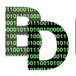 Logo firmy IT przedstawiające białe litery 'BD' na tle matrycy z zielonymi cyframi binarnymi.