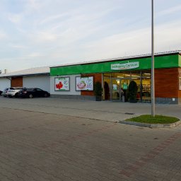 TRENDHOMES Janusz Romanek - Rolety proste Sanok