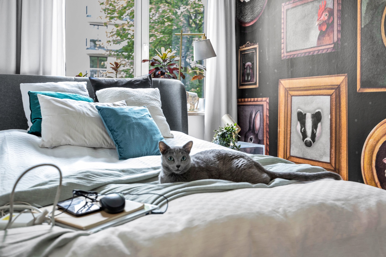 Jasne wnętrze sypialni z szarym kotem rasy rosyjski niebieski leżącym na łóżku z poduszkami w odcieniach bieli i turkusu, na łóżku leżą okulary, notatnik i słuchawki, w tle okno i ściana...