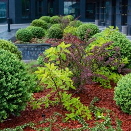 Montaż ogrodzeń Warszawa 3