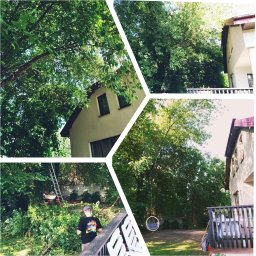 Gleam Clean - Kompozycja zdjęć przedstawiająca prace ogrodowe: przycięte gałęzie leżące na trawniku, drabina oparta o mur, osoba w koszulce z nadrukiem stojąca na tarasie, drzewa w ogrodzie oraz huśtawka wisząca...