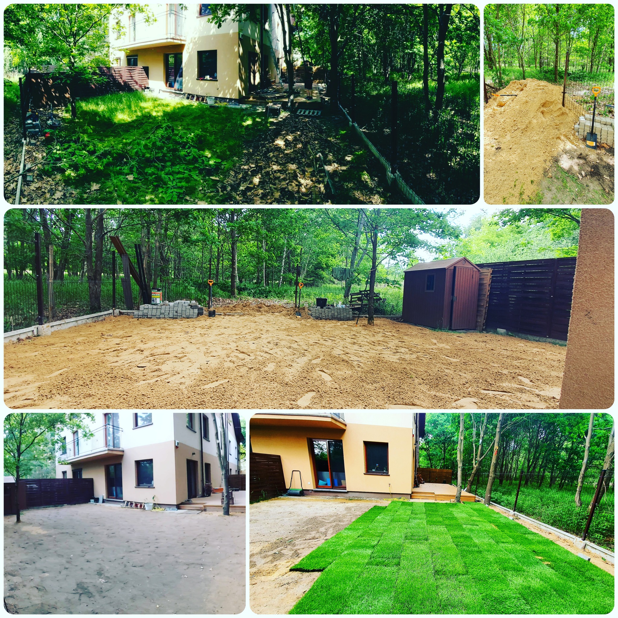 Fotokolaż przedstawiający etapy zakładania trawnika: od przygotowania terenu z piaskiem, przez układanie rolek trawy, po gotowy, zielony trawnik przy nowoczesnym domu otoczonym drzewami.