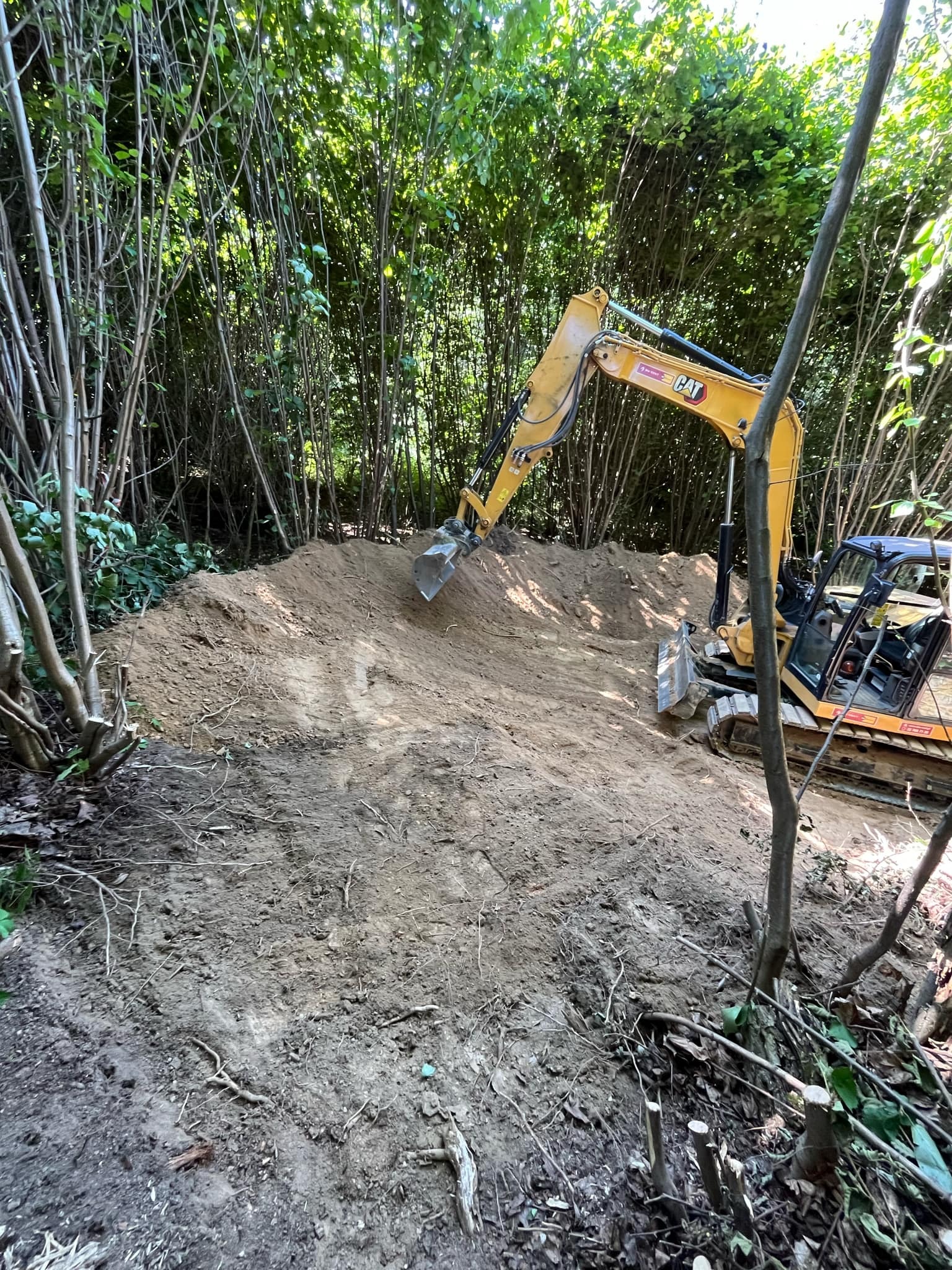Żółta koparka CAT pracuje na nierównym terenie z wykopaną ziemią, w tle gęsty las z młodymi drzewami.