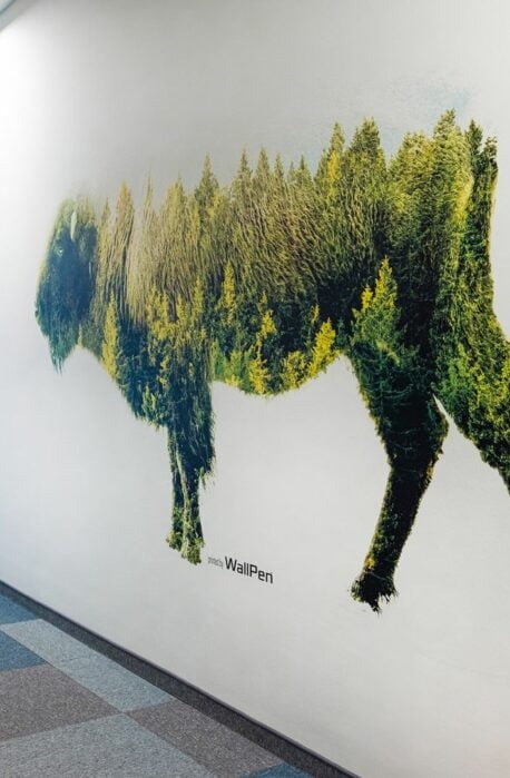 Fototapeta na ścianie biura przedstawiająca sylwetkę bizona wypełnioną motywem leśnym z drzew iglastych.