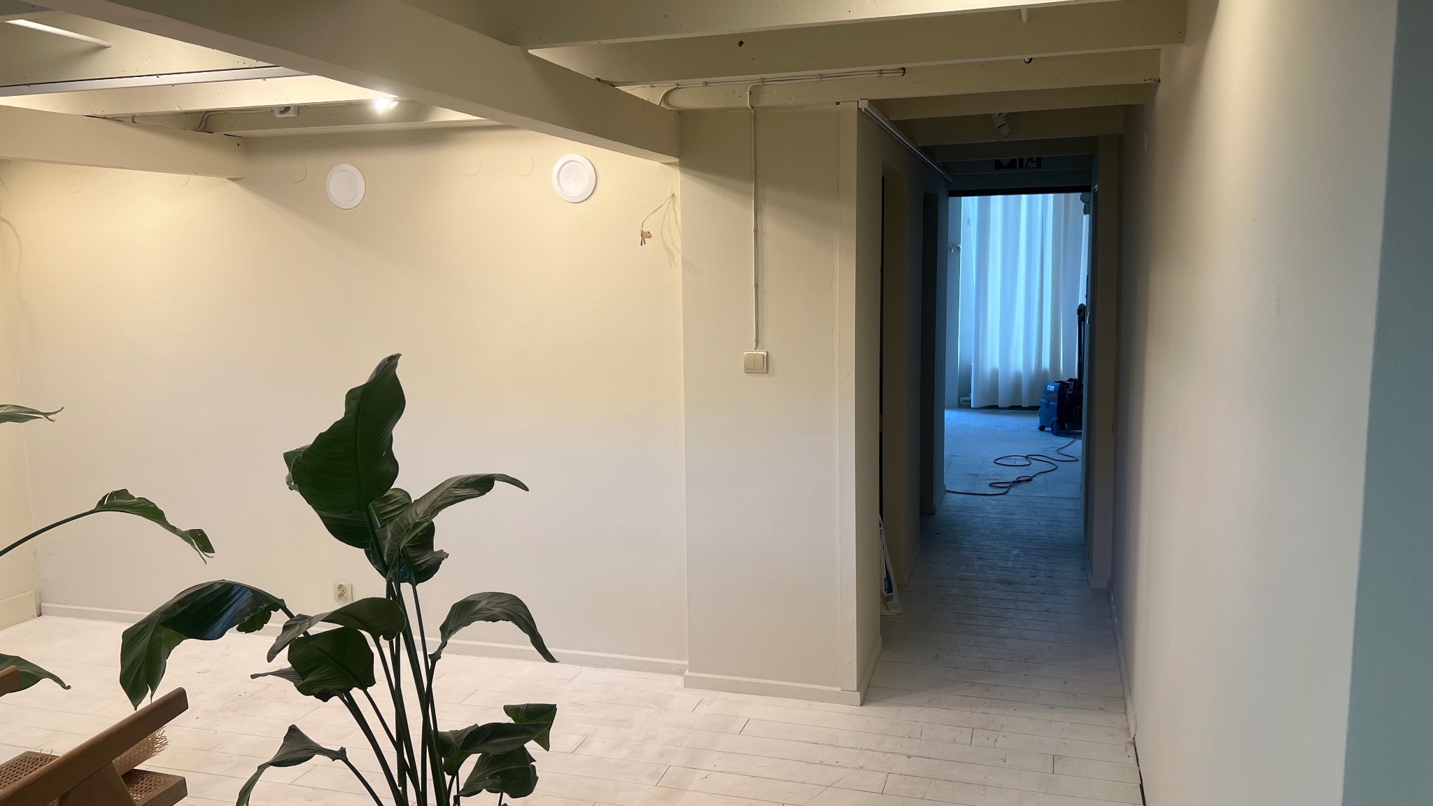 Wnętrze z białymi ścianami i podłogą, widok na korytarz z maszyną czyszczącą w tle, roślina doniczkowa na pierwszym planie