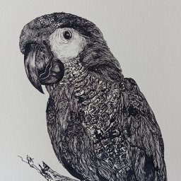 Malarstwo artystyczne Kędzierzyn-Koźle 2