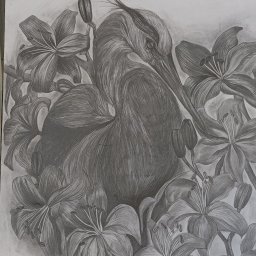 Malarstwo artystyczne Kędzierzyn-Koźle 1