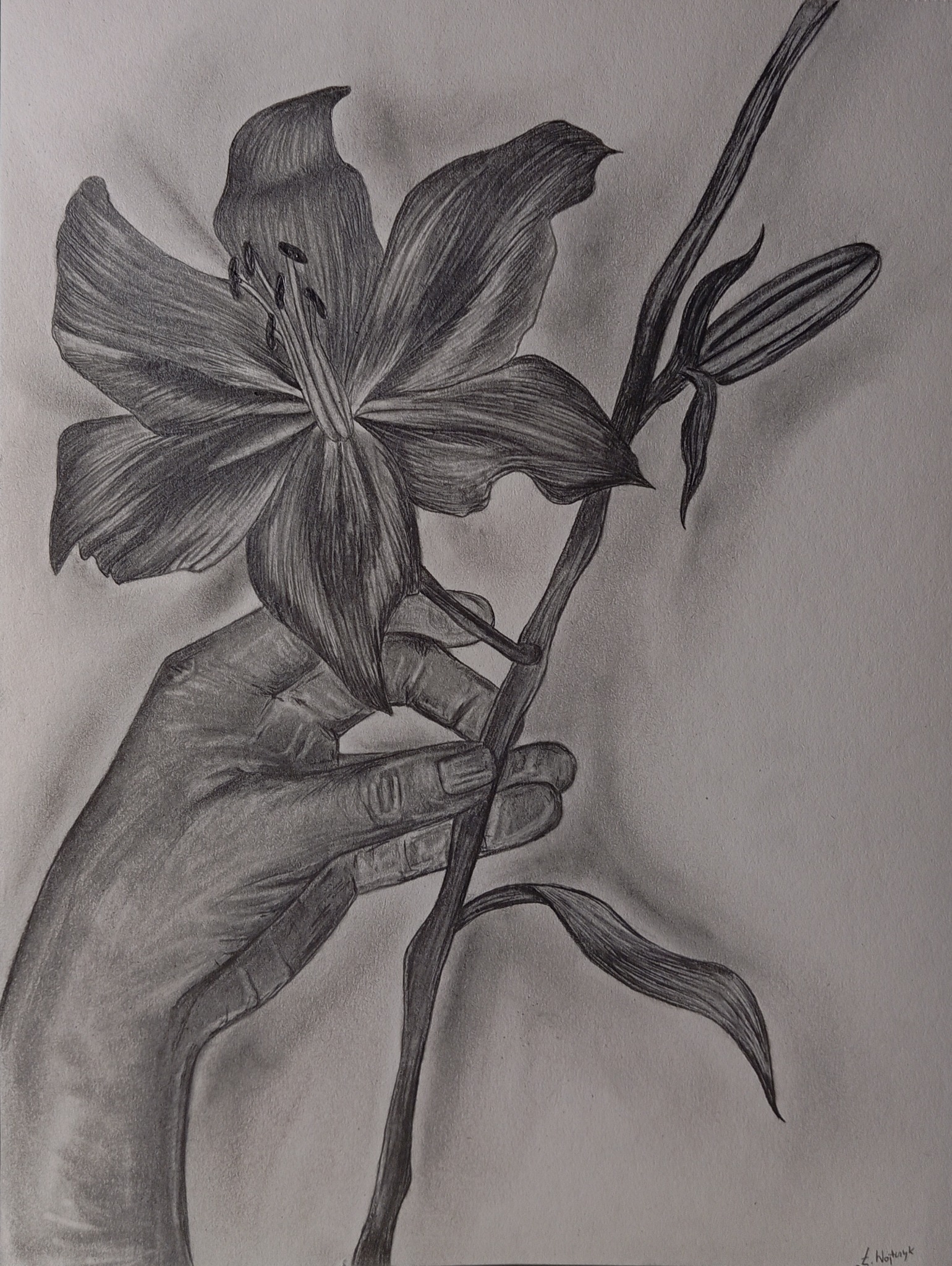 Czarno-biały rysunek ołówkiem przedstawia lilię trzymaną w dłoni, widoczne detale płatków i pręcików, delikatne cieniowanie podkreśla trójwymiarowość.