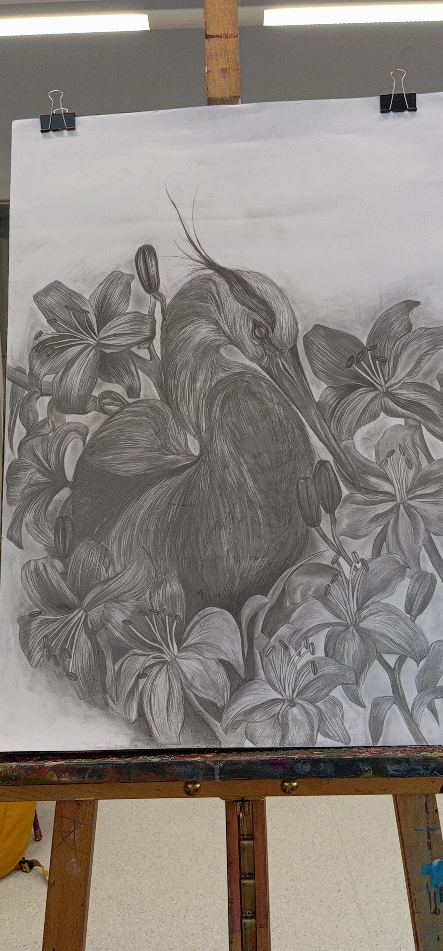 Szkic ołówkiem przedstawiający czaplę otoczoną liliami, umieszczony na sztaludze, z widocznymi klipsami przytrzymującymi papier.