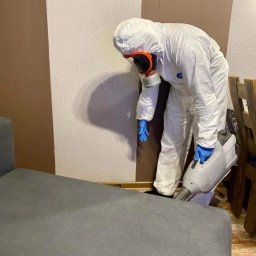 Dezynsekcja i deratyzacja Włocławek 3