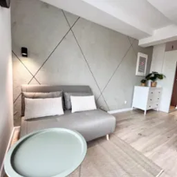 Szara sofa z białymi poduszkami na tle ściany z dekoracyjną fakturą i czarnymi liniami, jasne panele podłogowe, okrągły stolik w kolorze miętowym, biała komoda z roślinami, nowoczesne wnętrze...