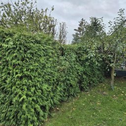 Układanie kostki brukowej Będlewo 1