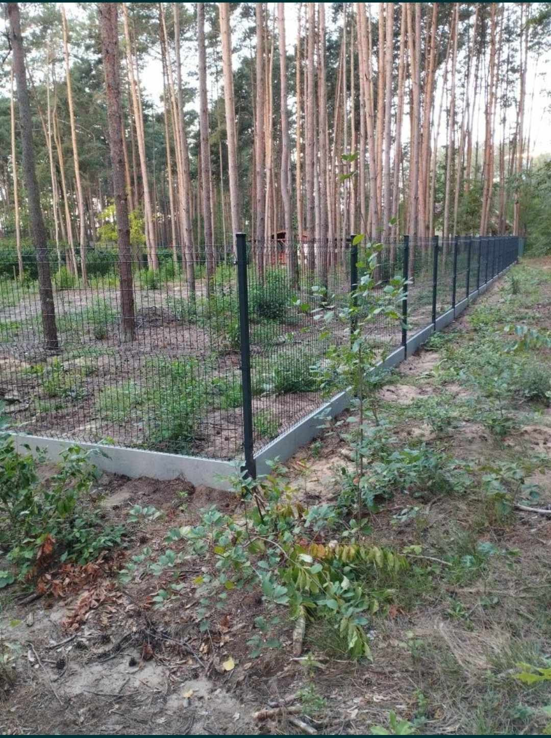 Długa, nowa siatka ogrodzeniowa z czarnymi słupkami i betonową podmurówką, otoczona młodym lasem sosnowym i naturalną roślinnością.