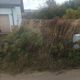 Marcin Czarnecki - Zarośnięty teren przed budynkiem z widocznymi paletami i elementami instalacji. Teren wymaga niwelacji i przygotowania pod dalsze prace budowlane.