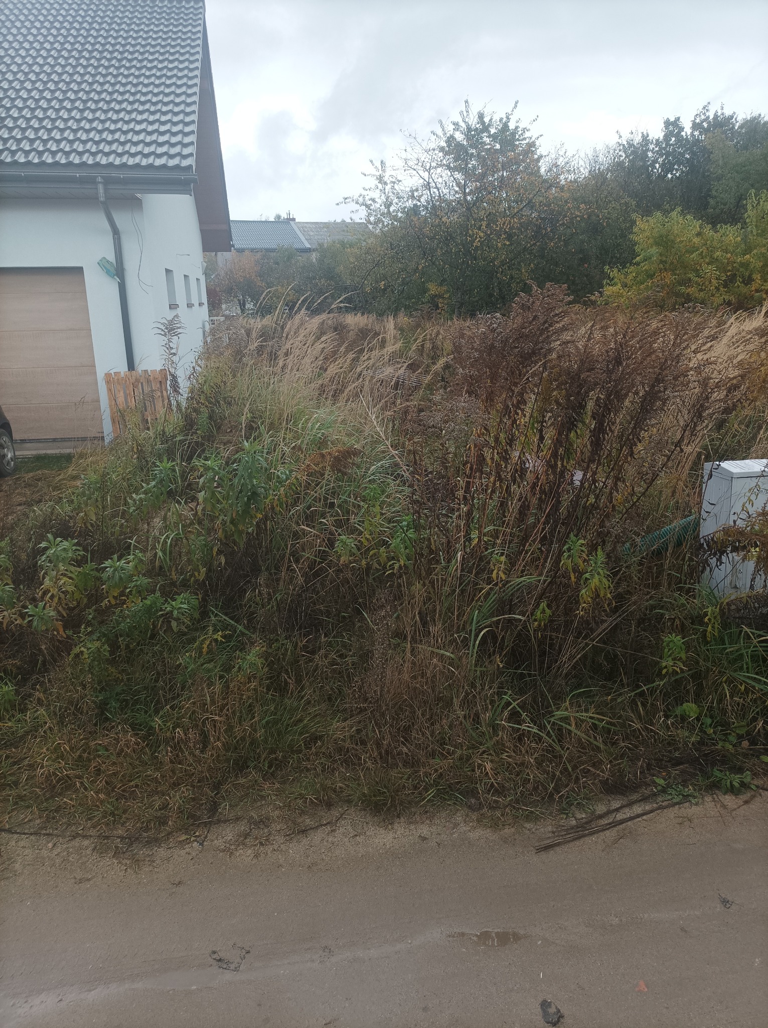Zarośnięty teren przed budynkiem z widocznymi paletami i elementami instalacji. Teren wymaga niwelacji i przygotowania pod dalsze prace budowlane.