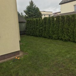 Drwal Dawid - Staranna Pielęgnacja Ogrodów Białystok