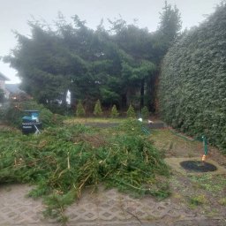 Drwal Dawid - Solidne Ścinanie Drzew Białystok