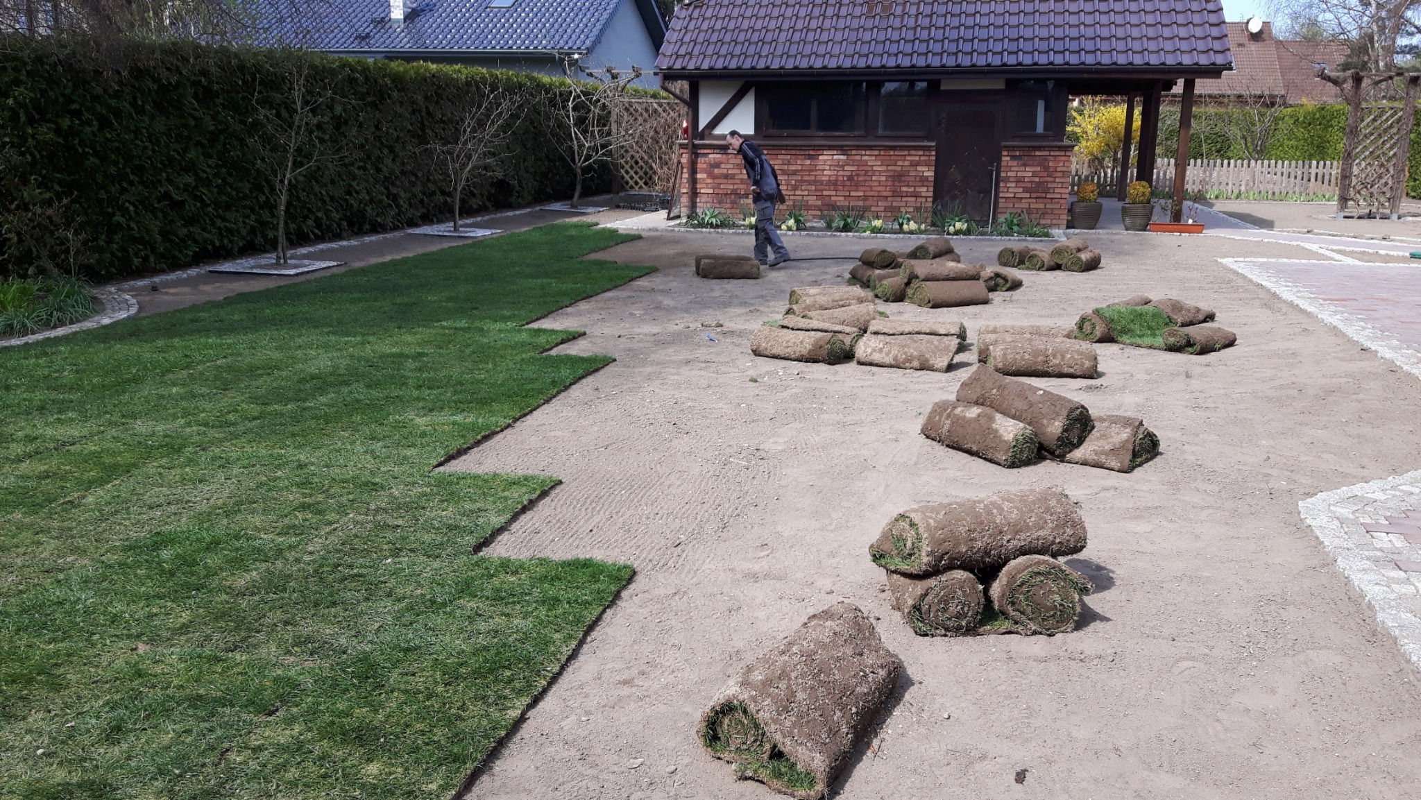 Rozkładanie rolek trawy na przygotowanym podłożu, widoczny fragment ułożonej trawy, pracownik w oddali, dom z cegły w tle.