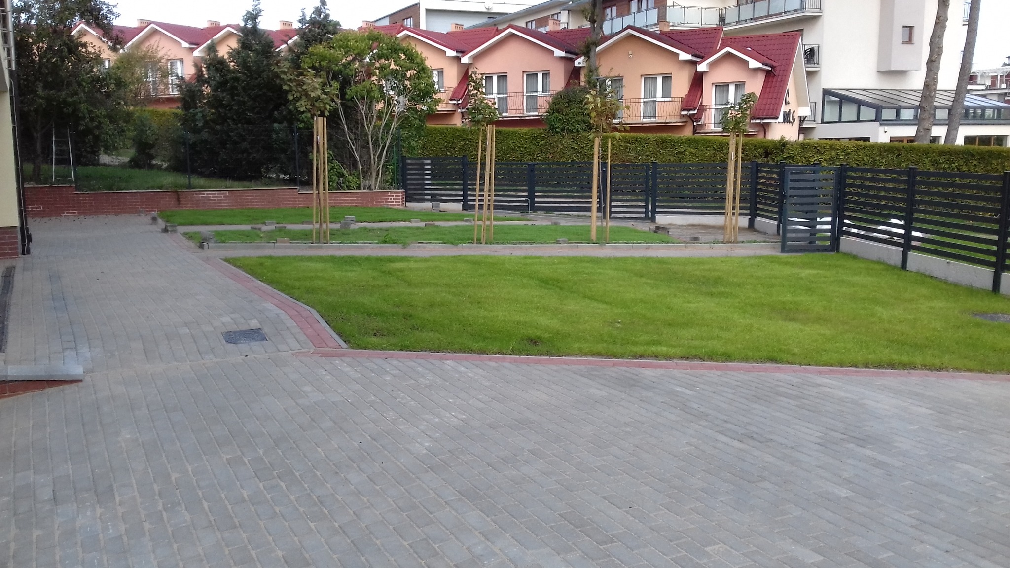 Nowo założony trawnik z rolki, obramowany kostką brukową z widocznym fragmentem nowoczesnego ogrodzenia panelowego w kolorze grafitowym i młodymi drzewkami zabezpieczonymi palikami, na tle zabudowy...