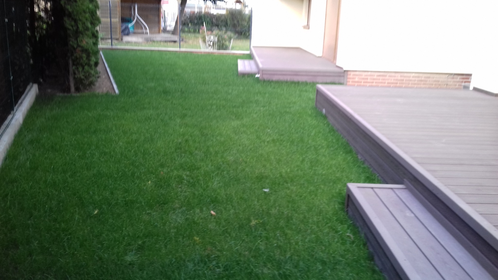 Świeżo ułożona, intensywnie zielona darń z rolki przylega do tarasu z kompozytu w odcieniach szarości, z widocznymi schodkami i fragmentem ogrodzenia w tle.