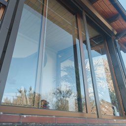 PMOC - Duże okno z brązowymi ramami, odbijające drzewa i niebo, widok z zewnątrz na wnętrze z roślinami doniczkowymi.