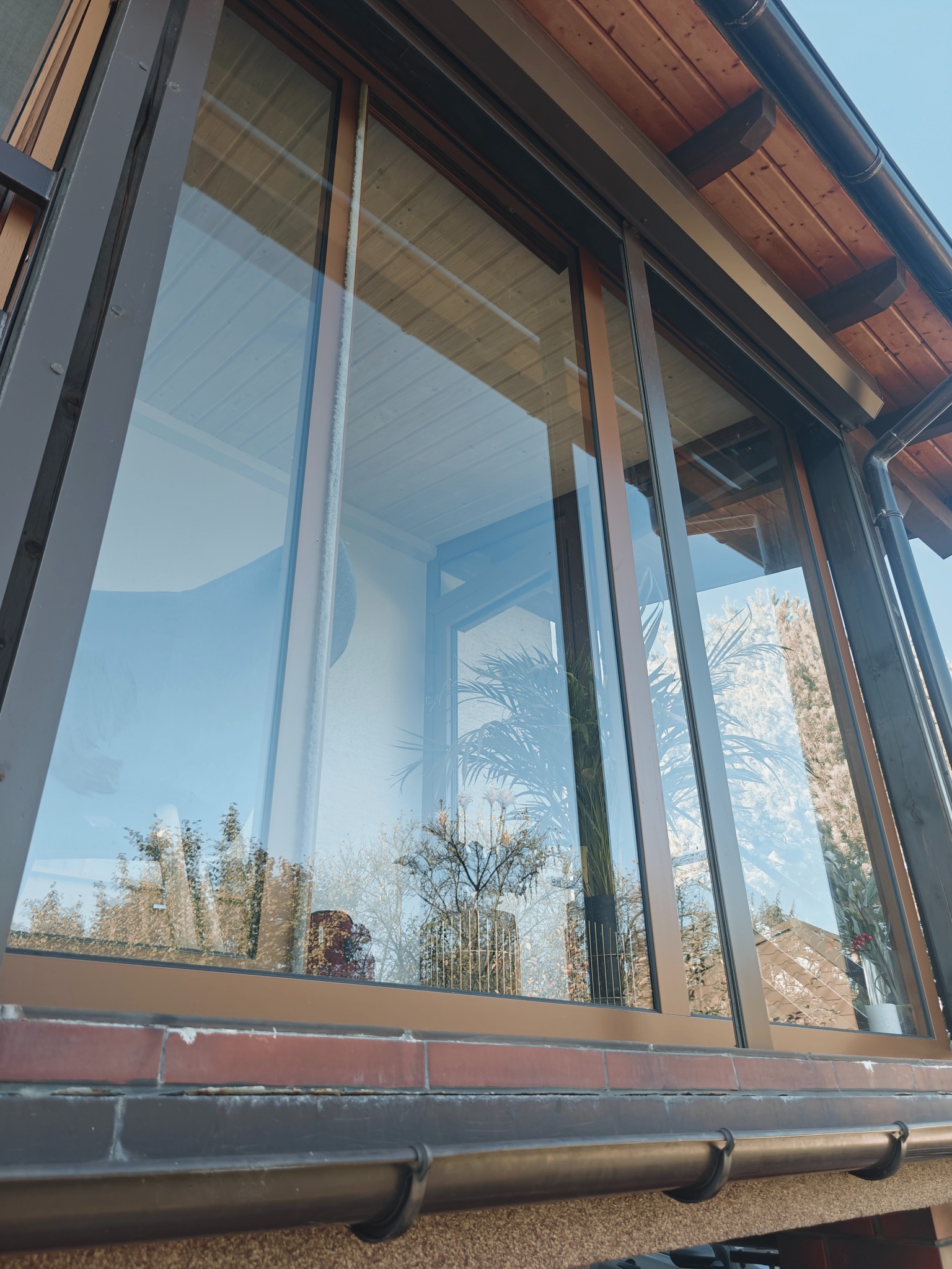 Duże okno z brązowymi ramami, odbijające drzewa i niebo, widok z zewnątrz na wnętrze z roślinami doniczkowymi.