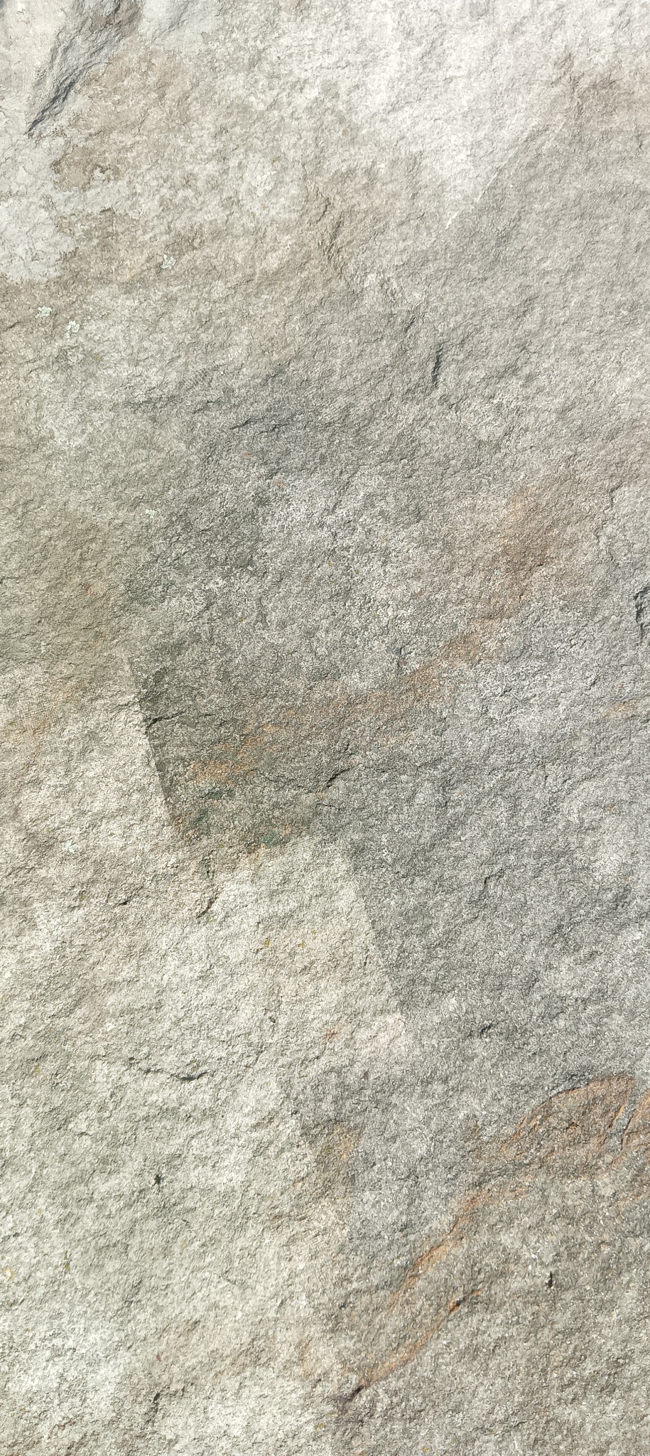 Szary, porowaty kamień z widocznymi warstwami i delikatnymi pomarańczowymi żyłkami.