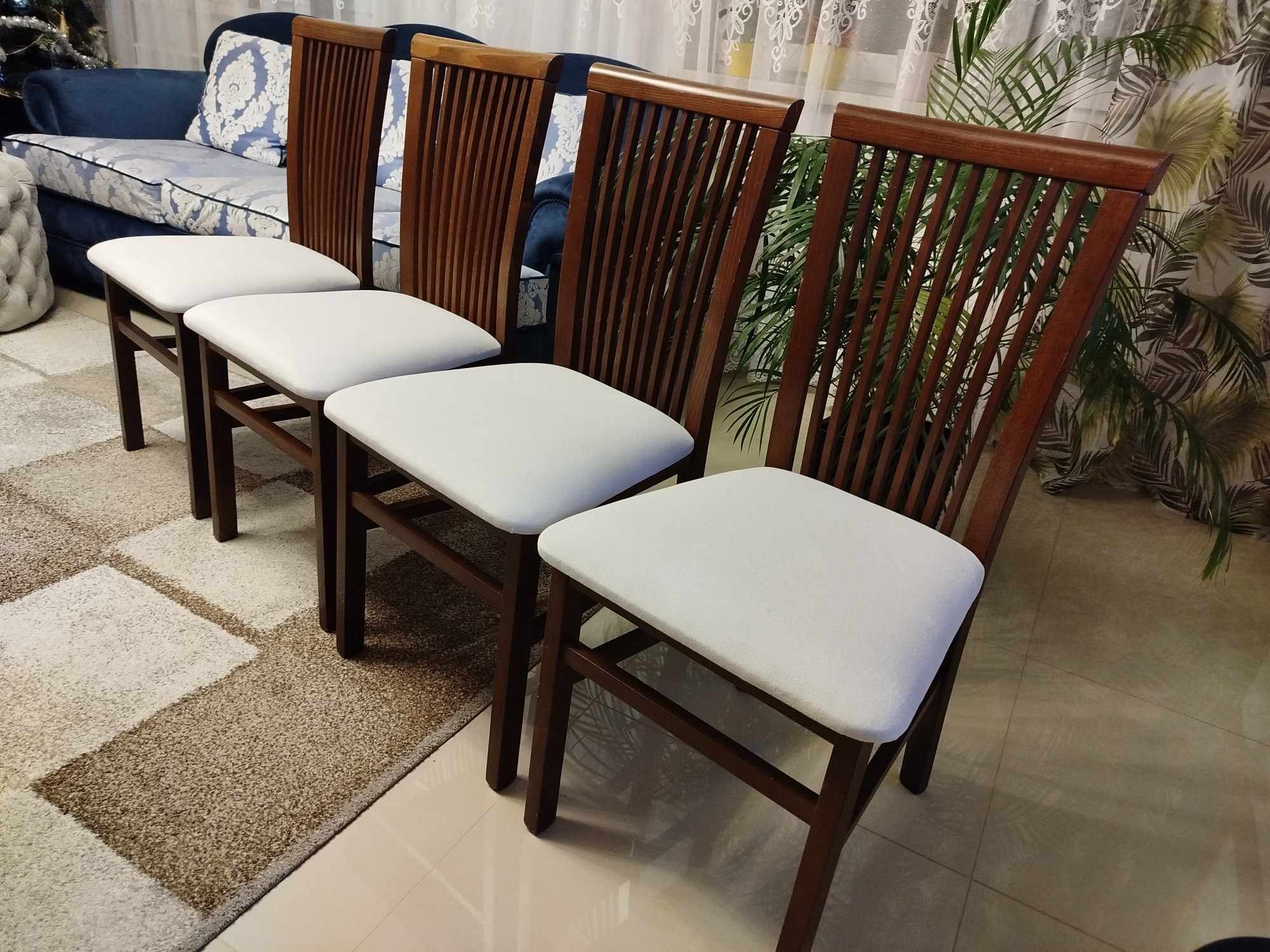 Cztery drewniane krzesła z jasnymi, nowymi obiciami na siedziskach, ustawione w rzędzie na tle wzorzystego dywanu i zasłon. Widoczne rośliny doniczkowe.