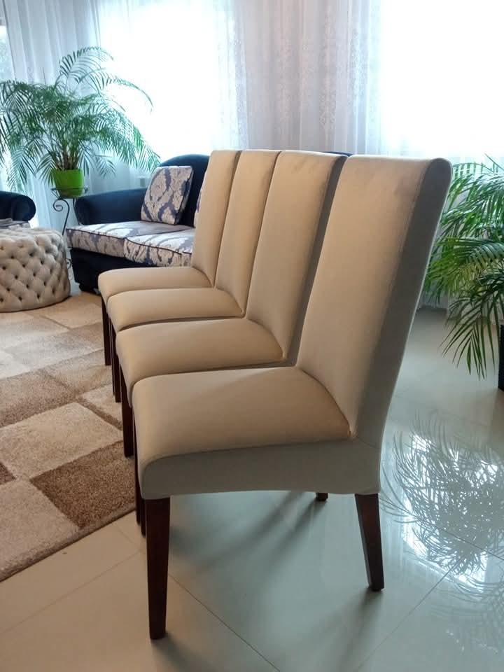 Rząd odnowionych krzeseł z beżową tapicerką w salonie. Widoczne rośliny doniczkowe i dywan. Refleksy światła na podłodze dodają blasku.