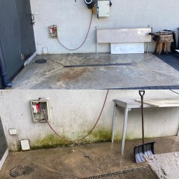 Wycinka drzew Pilica 1