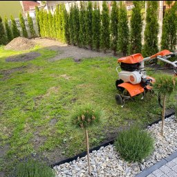 Czysta Strefa Mateusz Wójcik - Pomarańczowy glebogryzarki Stihl w ogrodzie z równo posadzonymi tujami i ozdobnymi krzewami. Świeżo przekopana ziemia i przygotowane rabaty.