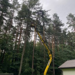 Czysta Strefa Mateusz Wójcik - Żółty podnośnik koszowy na tle wysokich drzew i budynku. Pracownik w koszu na wysokości, przygotowuje się do wycinki gałęzi. Pochmurne niebo.