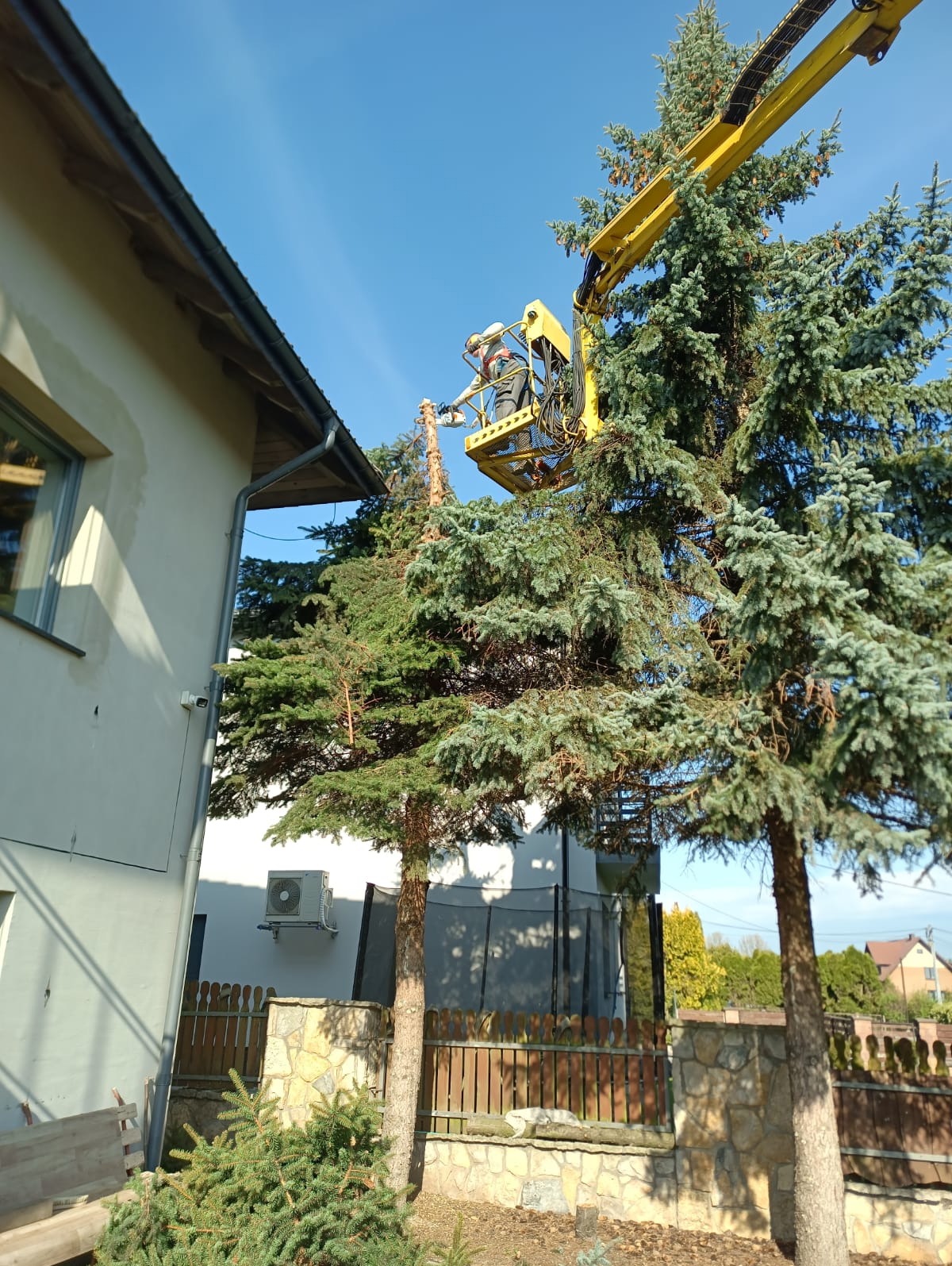 Pracownik w żółtym podnośniku tnie drzewo piłą spalinową. W tle dom z klimatyzacją i błękitne niebo. Częściowo ogołocone drzewo iglaste.