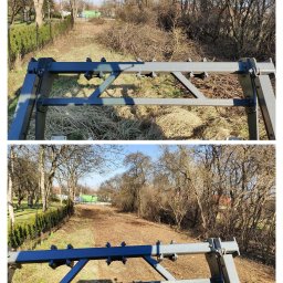 Wycinka drzew Bochnia 1