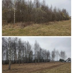 Wycinka drzew Bochnia 2