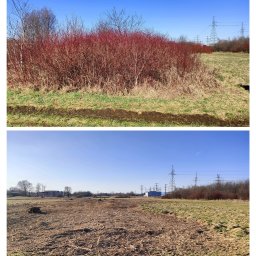 Wycinka drzew Bochnia 3