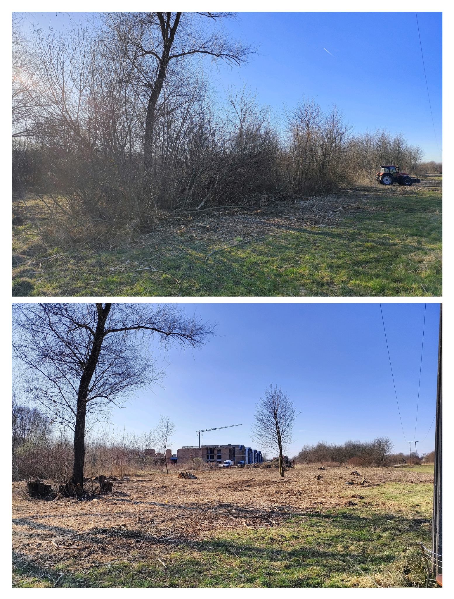 Zdjęcie 'przed i po' wycinki drzew na zarośniętym terenie. Na pierwszym planie traktor, na drugim plac budowy z dźwigiem. Błękitne niebo.