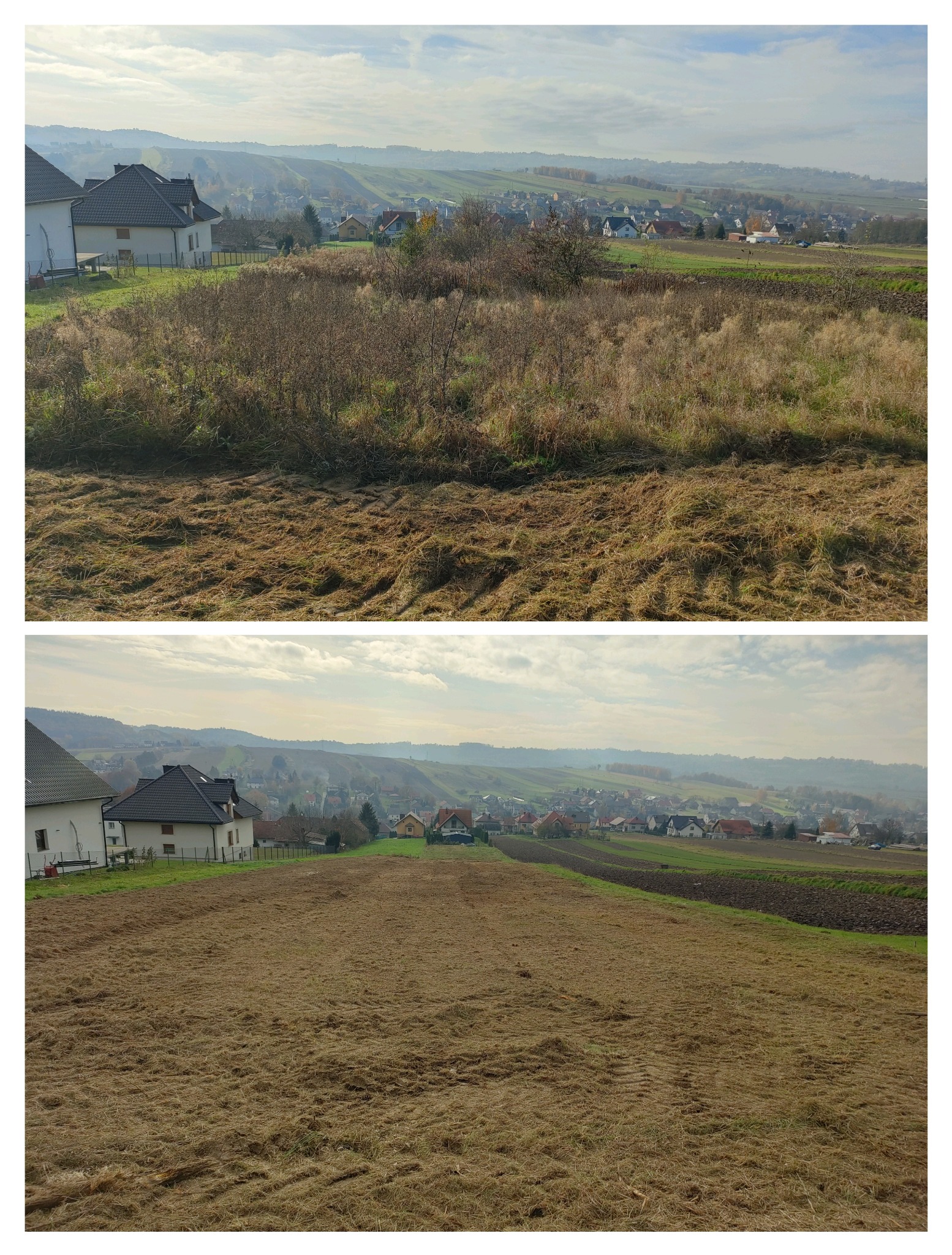 Działka przed i po skoszeniu trawy z widokiem na zabudowania mieszkalne. Porównanie stanu zaniedbanego i uporządkowanego terenu. Efekt usługi koszenia trawy.