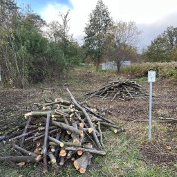 GREEN GO GOLIŃSKA SPÓŁKA Z OGRANICZONĄ ODPOWIEDZIALNOŚCIĄ - Rośliny i podłoża Wrocław