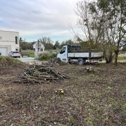 Wycinka drzew Wrocław 4