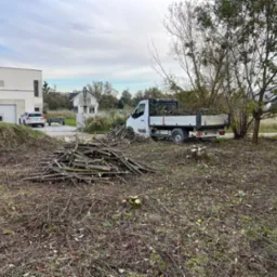 Stos pociętych gałęzi na trawie, biała ciężarówka z załadunkiem w tle, nowoczesny dom w oddali, pochmurne niebo.