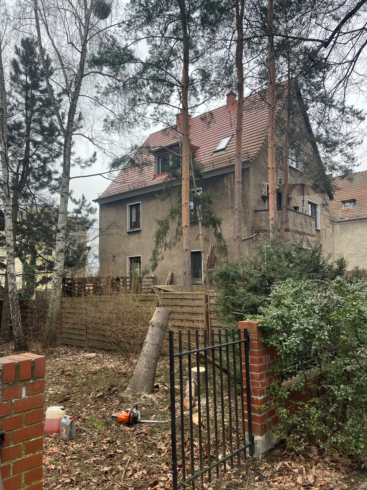 Ścięte drzewo opierające się o płot, obok pnia leży piła spalinowa, w tle dom z czerwonym dachem i drzewa.