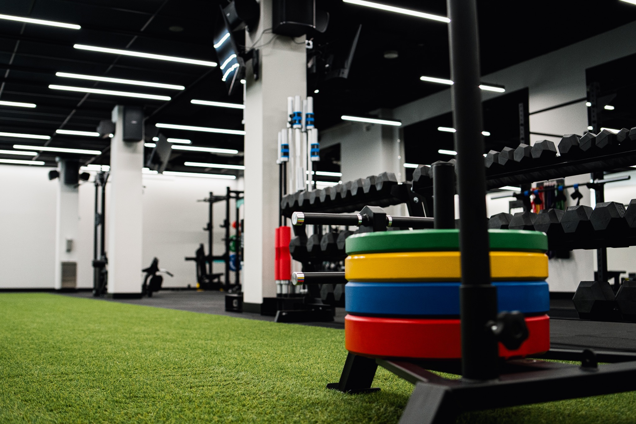 Wnętrze siłowni z zieloną sztuczną trawą, na pierwszym planie stojak z kolorowymi obciążeniami (czerwony, niebieski, żółty, zielony), w tle regał z hantlami i inne urządzenia do ćwiczeń.