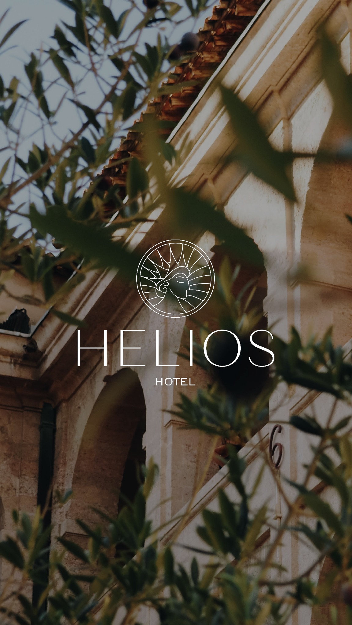 Eleganckie logo hotelu Helios widoczne przez gałęzie drzewa oliwnego, umieszczone na fasadzie budynku z numerem 6.