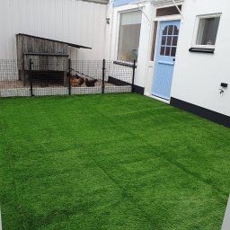 Gdzbouw - Jasnozielony trawnik z syntetycznej trawy, kurczakami w klatce i niebieskimi drzwiami wejściowymi w tle. Całość w jasnej tonacji.