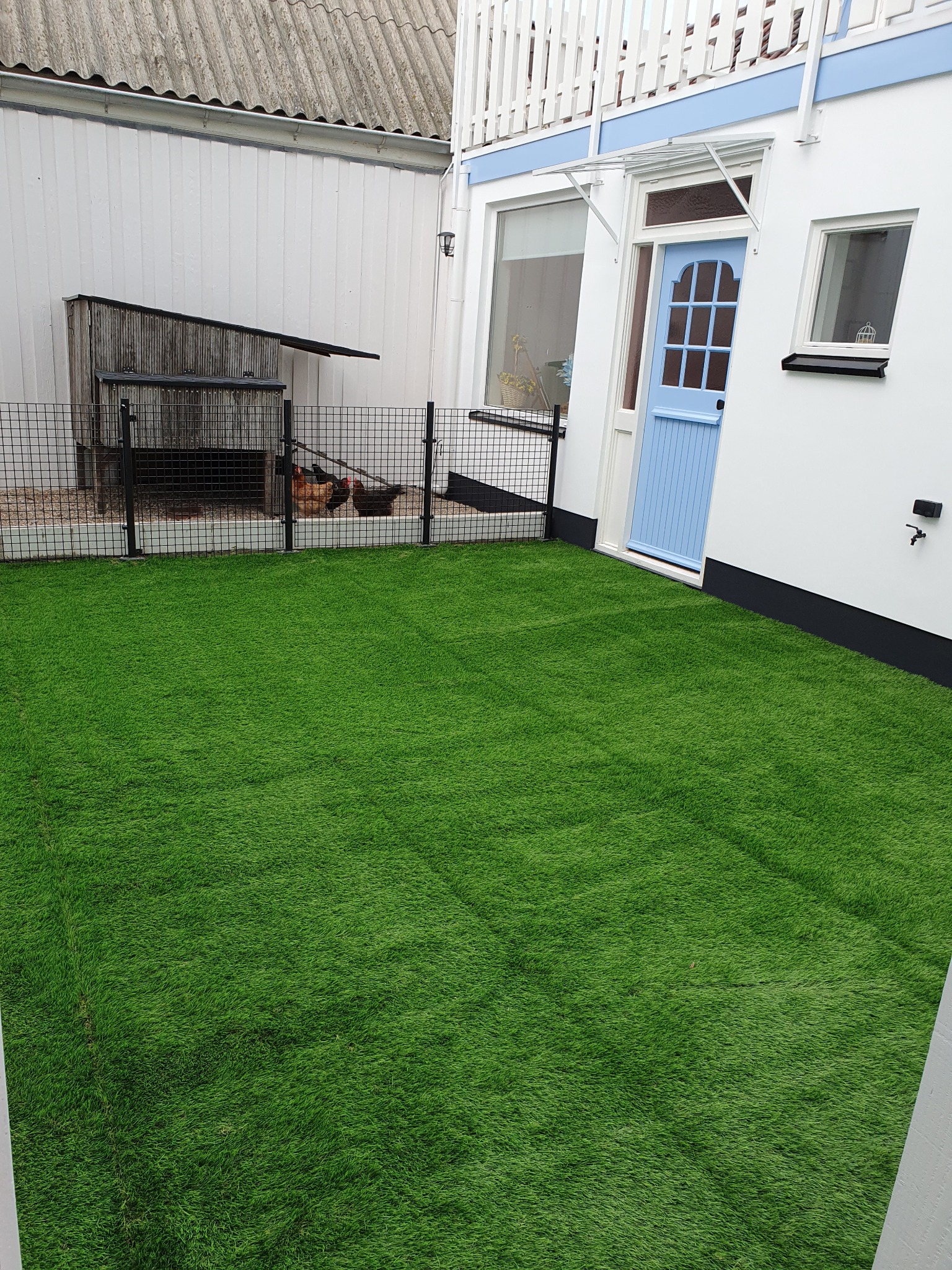 Jasnozielony trawnik z syntetycznej trawy, kurczakami w klatce i niebieskimi drzwiami wejściowymi w tle. Całość w jasnej tonacji.
